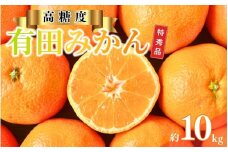 有田みかん【特秀品Ｍ～Ｌ、高糖度】約10kg！【2024年10月上旬～12月下旬順次発送】【NGT4】