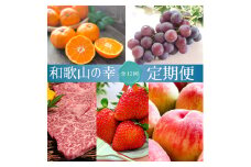 【全12回・毎月発送】和歌山をまるごと味わい尽くす定期便（熊野牛・フルーツ・梅酒）