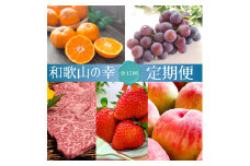 【全12回・毎月発送】和歌山をまるごと味わい尽くす定期便（熊野牛・フルーツ・梅酒）