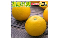 【訳あり・ご家庭用】有田育ちの 完熟 八朔 約3kg【先行予約】【2025年3月上旬～下旬発送予定】【MS50】