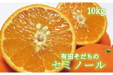 【ご家庭用】有田育ちの セミノールオレンジ 約10kg【先行予約】【MS58】【2025年4月上旬～5月下旬発送予定】