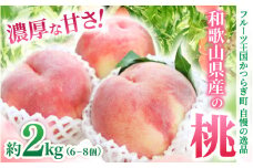 和歌山県産の桃 約2kg（6~8個） 【2025年7月上旬～8月上旬発送】 【Ei1】
