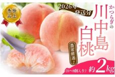 【2026年発送分先行予約】【モモ】川中島白桃　約2kg 6～8個入【秀品】こだわり農家厳選 【2026年7月末頃から順次発送】【KG13】