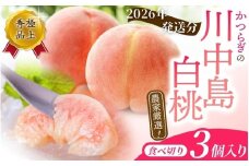 【2026年発送先行予約】【秀品】川中島白桃 食べきりやすい3個入りこだわり 農家厳選 先行予約 モモ  【2026年7月末頃から順次発送】【KG16】