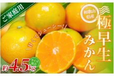 【家庭用】 森本農園の手選別 極早生みかん 約4.5kg 和歌山県産 2S~2Lサイズ混合 【北海道・沖縄・離島配送不可】【2025年10月上旬～下旬頃に順次発送】【RN2】