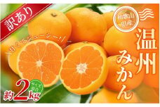 【訳あり】 森本農園の手選別 みかん 約2kg 和歌山県産 2S~2Lサイズ混合 【北海道・沖縄・離島配送不可】【2025年11月上旬～2026年2月中旬ごろに順次発送】【RN8】