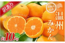【訳あり】 森本農園の手選別 みかん 約10kg 和歌山県産 2S~2Lサイズ混合 【北海道・沖縄・離島配送不可】【2025年11月上旬～2026年2月中旬ごろに順次発送】【RN10】