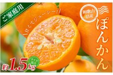 【家庭用】 森本農園の手選別 ポンカン 約1.5kg 和歌山県産 サイズ混合 【北海道・沖縄・離島配送不可】【2026年1月上旬～2月上旬頃に順次発送】【RN11】