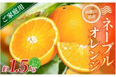 【家庭用】 森本農園の手選別 ネーブルオレンジ 約1.5kg 和歌山県産 サイズ混合 【北海道・沖縄・離島配送不可】【2026年1月上旬～2月中旬頃に順次発送】【RN16】
