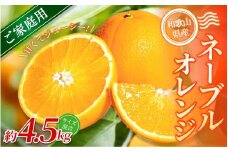 【家庭用】 森本農園の手選別ネーブルオレンジ 約4.5kg 和歌山県産 サイズ混合 【北海道・沖縄・離島配送不可】【2026年1月上旬～2月中旬頃に順次発送】【RN17】
