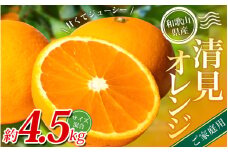 【家庭用】 森本農園の手選別 清見オレンジ 約4.5kg 和歌山県産 サイズ混合 【北海道・沖縄・離島配送不可】【2026年2月上旬～5月中旬頃に順次発送】【BV90022-mrmt022A】