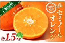 【家庭用】 森本農園の手選別 セミノールオレンジ 約1.5kg 和歌山県産 サイズ混合 【北海道・沖縄・離島配送不可】【2026年4月中旬～5月中旬頃に順次発送】【RN26】