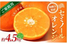 【家庭用】 森本農園の手選別 セミノールオレンジ 約4.5kg 和歌山県産 サイズ混合 【北海道・沖縄・離島配送不可】【2026年4月中旬～5月中旬頃に順次発送】【RN27】
