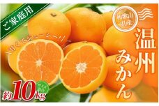 【家庭用】 森本農園の手選別 みかん 約10kg 和歌山県産 2S~2Lサイズ混合 【北海道・沖縄・離島配送不可】【2025年11月上旬～2026年2月中旬ごろに順次発送】【RN31】