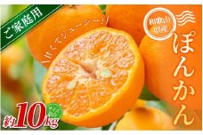 【家庭用】 森本農園の手選別 ポンカン 約10kg 和歌山県産 サイズ混合 【北海道・沖縄・離島配送不可】【2026年1月上旬～2月上旬頃に順次発送】【RN33】