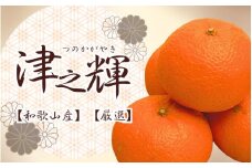 厳選 津之輝 約0.8kg+24g（傷み補償分）つのかがやき 光センサー選別 【2025年2月初旬～2025年4月中旬頃 順次発送予定】【IKE54】