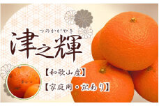 【訳あり・ご家庭用】津之輝 約2kg+60g（傷み補償分）つのかがやき 訳あり わけあり 光センサー選別【2025年2月初旬～2025年4月中旬頃 順次発送予定】【IKE58】
