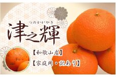 【訳あり・ご家庭用】津之輝 約3kg+90g（傷み補償分）つのかがやき 訳あり わけあり 光センサー選別【2025年2月初旬～2025年4月中旬頃 順次発送予定】【IKE59】