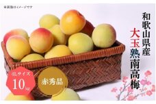 【梅干・梅酒用】大玉4Lサイズ 約10kg 熟南高 生梅 赤秀品【2026年6月上旬～7月上旬発送予定】【ART02】