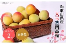 【梅干・梅酒用】大玉4Lサイズ 約2kg 熟南高 生梅 赤秀品【2026年6月上旬～7月上旬発送予定】【ART01】