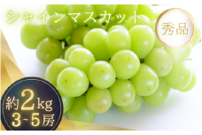 シャインマスカット たっぷり 約2kg 箱入り 【2025年8月中旬～9月上旬頃順次発送】