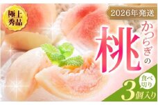 【2026年発送先行予約】桃 極上秀品 食べきりやすい3個入 【先行予約】こだわり農家厳選！【2026年7月末から8月末順次発送】【KG18】