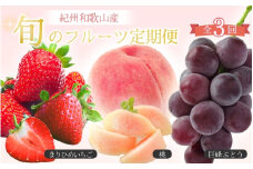 【2～3・7・9月 全3回】紀州和歌山産旬のフルーツセット（いちご・桃・巨峰）【UT96】
