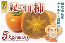 カキエモン農園の紀の川柿 約5kg 18個前後 【2025年10月中旬～11月中旬頃順次発送】 果物 くだもの フルーツ 柿 かき 和歌山 人気 送料無料
