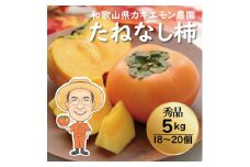 カキエモン農園のたねなし柿 約5kg 18 ～ 20個 【2025年9月下旬～10月末頃順次発送】