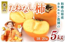 カキエモン農園のたねなし柿 約5kg 18 ～ 20個 【2025年9月下旬～10月末頃順次発送】
