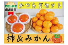 かつらぎセット（みかん＆柿)  約3.5kg 【2025年11月中旬から2025年12月上旬発送】