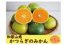 【ご家庭用】かつらぎのみかん 約5kg S～Lサイズ混合【2025年9月中旬～2025年11月下旬頃】