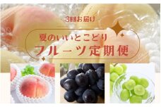 定期便全3回 【7月・8月・9月発送】 和歌山のフルーツをお届け（桃・たねなしピオーネ・シャインマスカット）【TM180】
