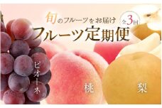 定期便全3回 【7月・8月・9月発送】 和歌山の夏のフルーツをお届け（桃・梨・たねなしピオーネ）【TM179】