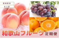 【定期便全3回】産直・和歌山フルーツ定期便（桃・ピオーネ・有田みかん）
