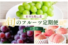 【7・8・9月 全3回 定期便 】紀州和歌山産旬のフルーツセット（桃・種なし巨峰・シャインマスカット）【UT124】