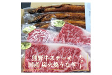 豪華限定企画！熊野牛ステーキと国産炭火焼鰻の贅沢うな牛セットＢ【MT28】