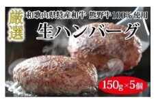 熊野牛 生ハンバーグ 8個入り【MT55】