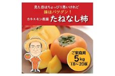 【訳あり・ご家庭用】たねなし柿 約5kg 18 ～ 20個 カキエモン農園【2025年9月下旬～10月末頃順次発送】/ 柿 たねなし カキ 訳あり ご家庭用 5kg 和歌山県 かつらぎ町 産地直送 農家直送