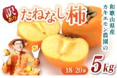 【訳あり・ご家庭用】たねなし柿 約5kg 18 ～ 20個 カキエモン農園【2025年9月下旬～10月末頃順次発送】/ 柿 たねなし カキ 訳あり ご家庭用 5kg 和歌山県 かつらぎ町 産地直送 農家直送