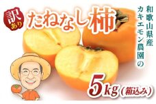 【訳あり・ご家庭用】たねなし柿 約5kg(箱込) 20個前後 カキエモン農園【2025年9月下旬～10月末頃順次発送】/ 柿 たねなし カキ 訳あり ご家庭用 5kg 和歌山県 かつらぎ町 産地直送 農家直送