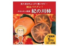 【ご家庭用】紀の川柿 約5kg 18 ～ 20個 カキエモン農園 【2025年10月中旬～11月中旬頃順次発送】/ 和歌山県 かつらぎ町 果物 くだもの フルーツ 柿 かき 和歌山 人気 送料無料
