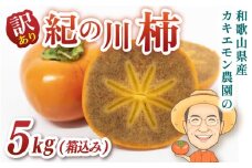 【ご家庭用】紀の川柿 約5kg 18個前後 カキエモン農園 【2025年10月中旬～11月中旬頃順次発送】/ 和歌山県 かつらぎ町 果物 くだもの フルーツ 柿 かき 和歌山 人気 送料無料