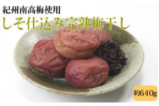 紀州南高梅使用 しそ仕込み完熟梅干し 約640g 塩分 約10％ 【準備でき次第、順次発送】  【TM195】