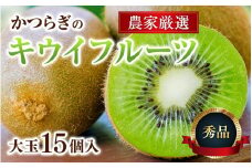 和歌山県産 秀品 キウイフルーツ 大玉15個入 こだわり農家厳選 先行予約 【2025年12月初旬頃から2026年1月中旬頃順次発送】 / キウイ フルーツ 果物 和歌山 秀品 贈答 大きい かつらぎ町 【KG28】