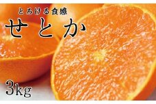 とろける食感！ジューシー柑橘　せとか　約3kg【予約】【2026年2月下旬頃～2026年3月下旬頃発送(お届け日指定不可)】