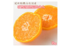 【訳あり・ご家庭用】【先行予約】紀州有田産 濃厚完熟 温州みかん 約5kg  / みかん ミカン 蜜柑 温州みかん 柑橘 フルーツ 果物 くだもの 和歌山【2024年11月下旬頃～2025年1月下旬頃に順次発送予定】