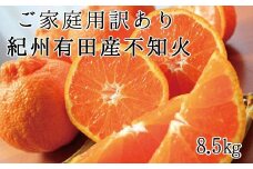 【訳あり・ご家庭用】紀州有田産不知火(しらぬひ) 約8.5kg 【予約】【2026年2月中旬頃～2026年3月中旬頃に順次発送予定(お届け日指定不可)】