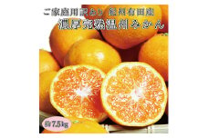 【訳あり・ご家庭用】紀州有田産濃厚完熟温州みかん　約7.5kg 【2025年11月下旬頃～2026年1月下旬頃に順次発送予定(お届け日指定不可)】