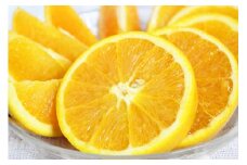 【訳あり・ご家庭用】【国産】希少　バレンシアオレンジ　約7kg　【2026年6月下旬頃～7月上旬頃 順次発送予定】